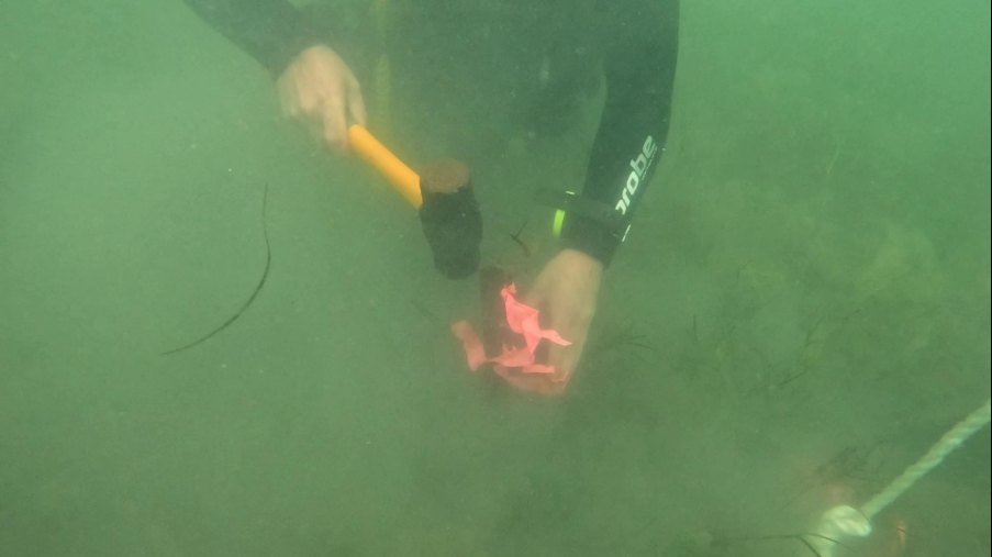 Diver marking an underwater field plot