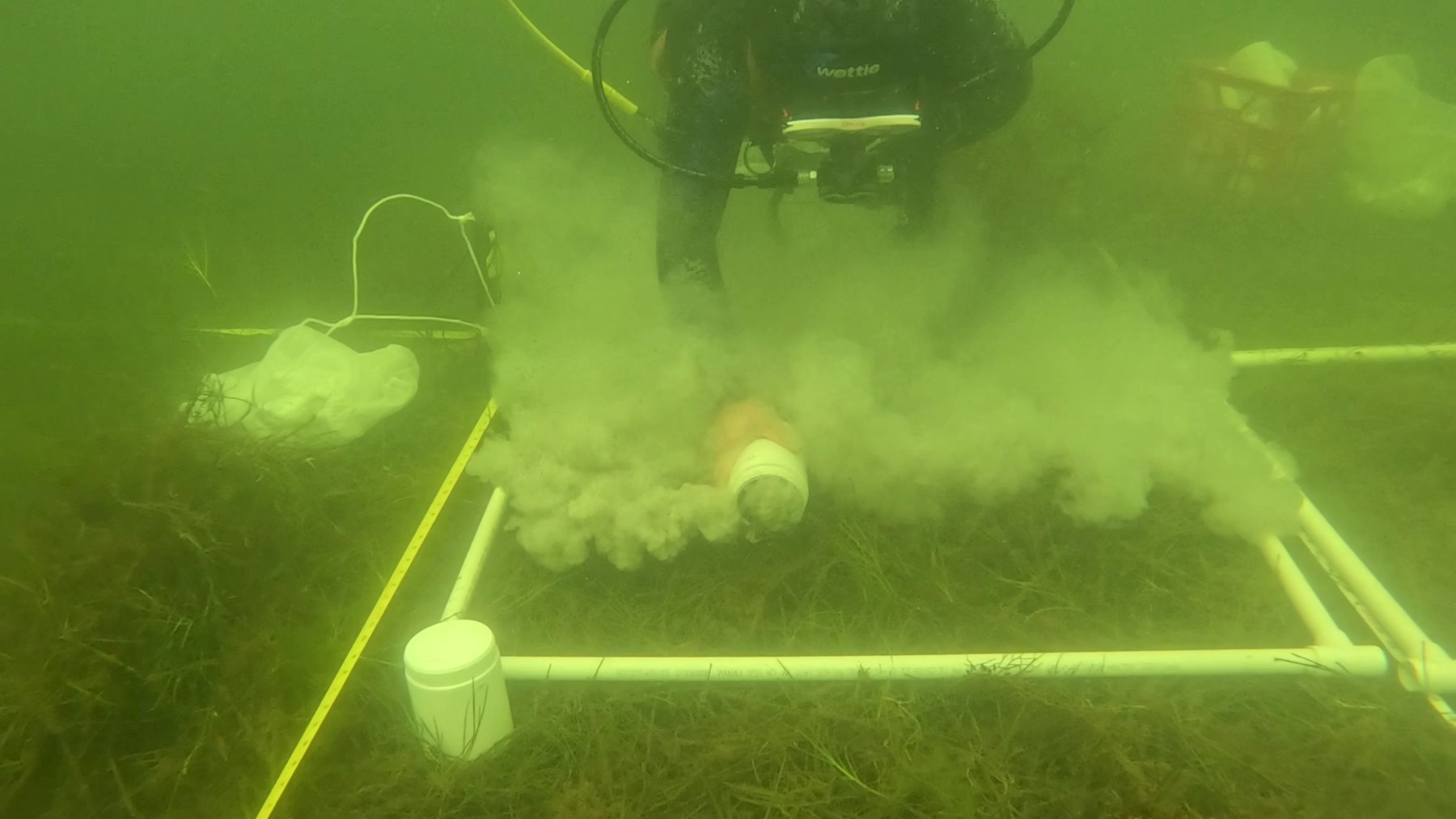 Limestone dispersal underwater at the OAE Field Study 2026 site