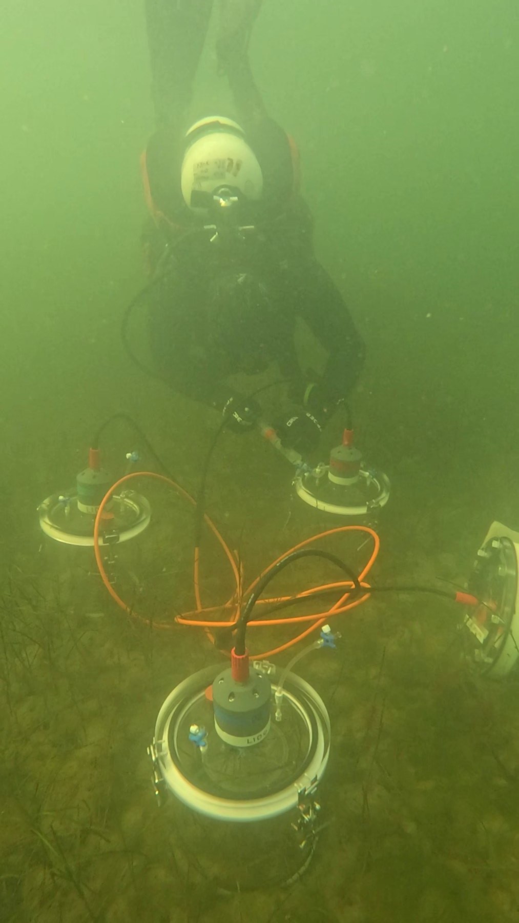 A diver sampling benthic flux chambers underwater