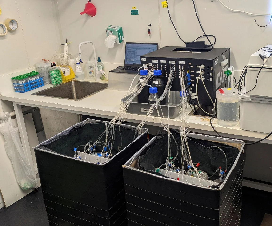 Laboratory incubators connected to the C-SWAPS sampling system
