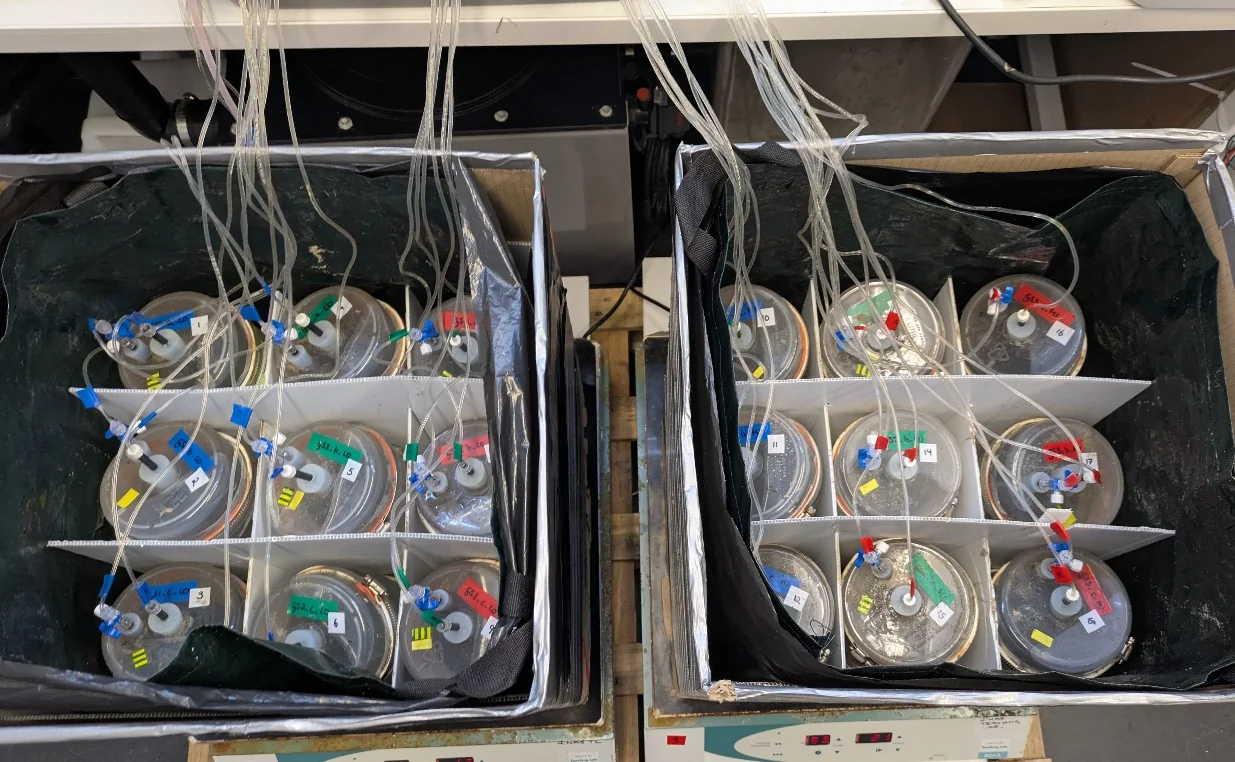 Top view of two boxes containing 18 experimental incubators